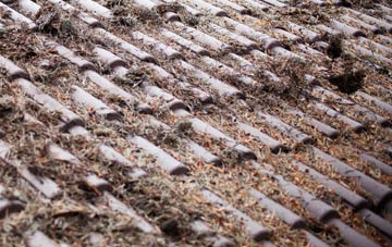 Eagley roof cleaning companies